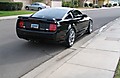 IMG_3921.JPG