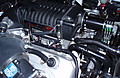 P2060037.JPG