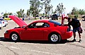 P4297500a.jpg