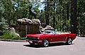 tn_DSC_0146.JPG