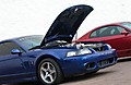 TFT07_092_Medium_.jpg