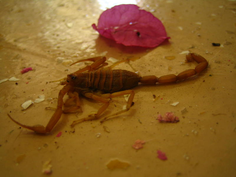 Name:  IMG_2910.jpg
Views: 437
Size:  41.2 KB